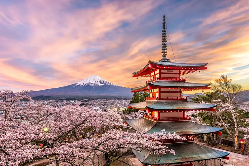 Organisation de mariage au Japon